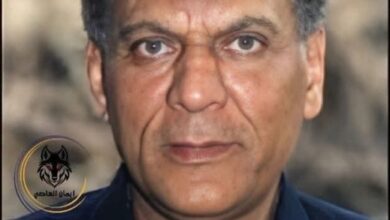 الفنان حسين الشربيني