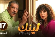 مسلسل لينك الحلقه ١٧