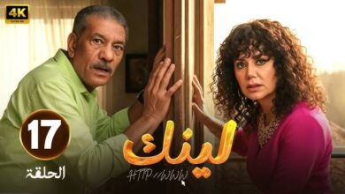 مسلسل لينك الحلقه ١٧